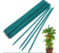 Vivo Technologies 90Cm Garden Stakes 30 Pack Bamboo Sticks Plant Support Green Wooden Canes Gardening