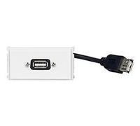 Vivolink WI221275 Wall Outlet - USB 2.0 Socket White Minimalist Design