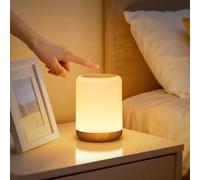 VIWAVE Night Light,LED Dimmable Baby Night Kids Light with 256 RGB & Timer & Memory,USB Rechargeable Touch Lamp Battery Bedside Lamps,Toddler Portable Nightlights for Adults,Children,Bedroom,Camping