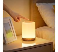 VIWAVE Night Light,LED Dimmable Baby Night Light Kids with RGB & Timer & Memory,USB Rechargeable Bedside Lamps Touch Lamp,Toddler Portable Battery Nightlights for Adults,Children,Bedroom,Camping