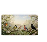 Vixar British Garden Birds Large Desk Mat - Wildlife Fabric Mouse Pad with 3mm Non-Slip Rubber Base, 600 x 350mm