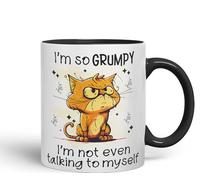Vixar I'm so Grumpy, I'm not Even Talking to Myself cat Joke sarkasm Ceramic Coloured Mug Cup for Tea Coffee Hot Brew 330ml 11Oz Gift (Black)