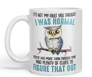 Vixar It's Not My Fault YouThought I was Normal, Owl Sarcastic Joke Ceramic Coloured Mug Cup for Tea Coffee Hot Brew 330ml 11Oz (White)
