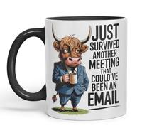 Vixar Just Survived Another Meeting That Could’ve Been an Email - Coloured Ceramic Mug Cup Gift, 11oz (Black)