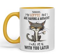 Vixar My Coffee and I are Having a Moment, I Will Deal with You Later cat Sarcastic Joke Ceramic Coloured Mug Cup for Tea Coffee Hot Brew 330ml 11Oz (G Yellow)