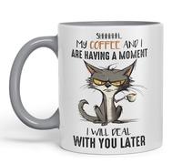 Vixar My Coffee and I are Having a Moment, I Will Deal with You Later cat Sarcastic Joke Ceramic Coloured Mug Cup for Tea Coffee Hot Brew 330ml 11Oz (Grey)