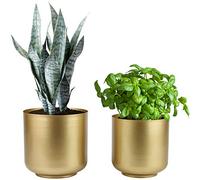 Vixdonos Large Gold Planters Metal Aloe Brass-Tone Plant Pots Indoor Decorative Flower Pots with Drain Holes(8+7.1Inch)