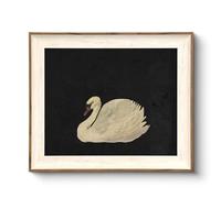 VIYYIEA Framed Wall Art for Living Room, Swan Art Canvas Prints, Vintage Home Decor, Animal Oil Painting Picture, Bathroom Wall Decor Gifts for Friends or Family -【Zwaan】-(10L x 8W)