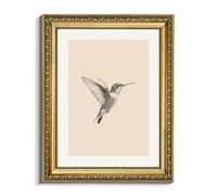 VIYYIEA Gold Framed Hummingbird Wall Art, Minimalist Canvas Wall Decor, Vintage Nature Sketch Illustration for Living Room Bedroom, Great Gift for Bird Lover, 11x14 Inch