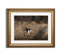 VIYYIEA Gold Framed Vintage Black Cat Holding A Bird Wall Art, Rustic Nature Scenery for Living Room Decor | No-Glass Design, Textured Canvas Finish | Elegant Home Office Wall Art, 13x16 Inch.