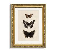 VIYYIEA Vintage Gold Framed Butterfly Wall Art, Bedroom Bathroom Shelf Retro Butterfly Illustration Room Decor, Canvas Prints, Antique Picture Frame Paintings Home Farmhouse Wall Decor, 11x14 Inch