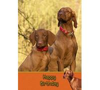 Vizsla Birthday Card