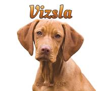 Vizsla Calendar 2026: 12 month Organizer Jan 2026 to Dec 2026