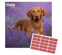 Vizsla Calendar 2026 | 16 months | September 2025 -December 2026 | Calendar with FREE Organisational Stickers, Vizsla Gift