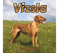 Vizsla Calendar 2026: Organizer For Home & Office From January to December For Men, Women