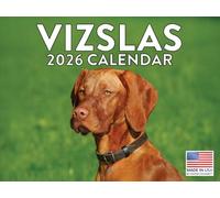 Vizsla Calendar 2026 Viszla Monthly Wall Calander 12 Month | American Made In The USA