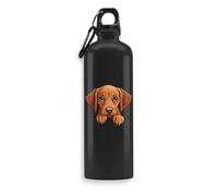 Vizsla Cute Dog Puppy Water Bottle, Beverage Flask, Travel Bottle, Outdoor Sport Bottle