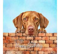Vizsla Dog Art Square Birthday Card