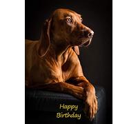 Vizsla Dog Birthday Greeting Card