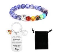 Vjajaly Rainbow Bridge Pet Memorial Gifts Bracelet for Beloved Dog Cat 8MM Mixed Color Bead 7 Chakra Pet Memorial Bracelet for Women Men Who Loss of Pets Pet Sympathy Gift, S, Alloy Steel, no gemstone