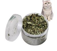 Vjeybv Catnip Loose - 40g Natural Leaves Catnip Treat for Teeth Cleaning | Soothing Dried Ground Catnip, Relaxing Natural Leaves Catnip Treat, Cat Snacks for Regulating Mood, Indoor Cats, Cat Hair
