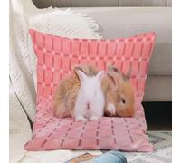 VJIZLOQB Throw Pillow Cushion Cover,Adorable Brown Born Young Baby Rabbit on Pink Hare Animal Weeks Gray Rabbit copyspace mign,Pillow Cover for Home Livingroom Couch Bed Sofa Decorate 16 x 16 in