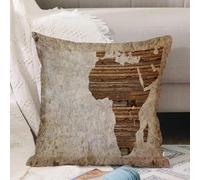 VJIZLOQB Throw Pillow Cushion Cover,African Theme Image,Geography Theme Grunge Vintage Wooden Plank Africa Map Digital Print),Pillow Cover for Home Livingroom Couch Bed Sofa Decorate 16 x 16 in