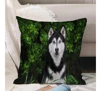 VJIZLOQB Throw Pillow Cushion Cover,Beautiful dog siberian husky portrait on nature,Pillow Cover for Home Livingroom Couch Bed Sofa Decorate 16 x 16 in