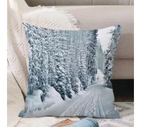 VJIZLOQB Throw Pillow Cushion Cover,Beautiful landscape with road and conifer forest on snowy winter day,Pillow Cover for Home Livingroom Couch Bed Sofa Decorate 16 x 16 in