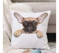 VJIZLOQB Throw Pillow Cushion Cover,Bulldog, Young Puppy with in Foreground Photo Best Friend,Pillow Cover for Home Livingroom Couch Bed Sofa Decorate 16 x 16 in