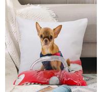 VJIZLOQB Throw Pillow Cushion Cover,Costume Chihuahua Dog Red Funny Car Close Up Animals Wildlife,Pillow Cover for Home Livingroom Couch Bed Sofa Decorate 16 x 16 in