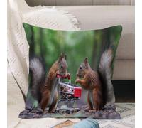 VJIZLOQB Throw Pillow Cushion Cover,couple of squirrels are eating nuts from the little cart,Pillow Cover for Home Livingroom Couch Bed Sofa Decorate 16 x 16 in