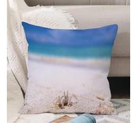 VJIZLOQB Throw Pillow Cushion Cover,Crab on the beach on Maldives,Pillow Cover for Home Livingroom Couch Bed Sofa Decorate 16 x 16 in