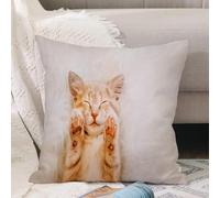 VJIZLOQB Throw Pillow Cushion Cover,Cute red kitten is sleeping on his back and sng paws up. Concept of sleep and good morning,Pillow Cover for Home Livingroom Couch Bed Sofa Decorate 16 x 16 in