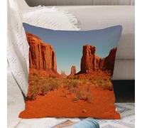 VJIZLOQB Throw Pillow Cushion Cover,Desert, sunny hot day Monument Valley Arid country Primiti nation,Pillow Cover for Home Livingroom Couch Bed Sofa Decorate 16 x 16 in