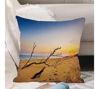 VJIZLOQB Throw Pillow Cushion Cover,Driftwood washed up on the sandy shore at sunrise.,Pillow Cover for Home Livingroom Couch Bed Sofa Decorate 16 x 16 in