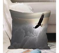 VJIZLOQB Throw Pillow Cushion Cover,Eagle, majestic creature flying above clouds. Freedom. Democracy and freedom,Pillow Cover for Home Livingroom Couch Bed Sofa Decorate 20 x 20 in