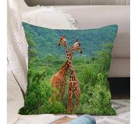 VJIZLOQB Throw Pillow Cushion Cover,Fight of two giraffes. Africa. Kenya. Samburu national park.,Pillow Cover for Home Livingroom Couch Bed Sofa Decorate 18 x 18 in