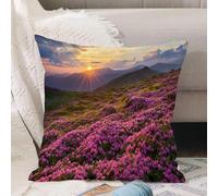 VJIZLOQB Throw Pillow Cushion Cover,Flower ow at the mountain valley with horizon sky surreal mother earth Beauty Ima, Bli,Pillow Cover for Home Livingroom Couch Bed Sofa Decorate 16 x 16 in