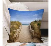 VJIZLOQB Throw Pillow Cushion Cover,Footpath through dunes to the beach and old wooden pier Baltic See Germany,Pillow Cover for Home Livingroom Couch Bed Sofa Decorate 16 x 16 in