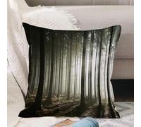 VJIZLOQB Throw Pillow Cushion Cover,Forest,Coniferous Forest With Leafless Branches on a Misty Autumn Morning and Rising Sun,D,Pillow Cover for Home Livingroom Couch Bed Sofa Decorate 18 x 18 in