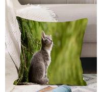 VJIZLOQB Throw Pillow Cushion Cover,Funny Cat Sitting Kitten Pet Lover Looking At The Sky Lovely K,Pillow Cover for Home Livingroom Couch Bed Sofa Decorate 16 x 16 in