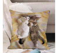 VJIZLOQB Throw Pillow Cushion Cover,Funny,Kitten Siblings Lying Beside Sleepy Heads Cat Pe,Pillow Cover for Home Livingroom Couch Bed Sofa Decorate 16 x 16 in