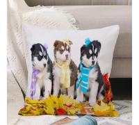 VJIZLOQB Throw Pillow Cushion Cover,Highbreed Adorable Siberian Husky Sweet Hairy Puppies Animal Wildlife,Pillow Cover for Home Livingroom Couch Bed Sofa Decorate 16 x 16 in