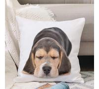 VJIZLOQB Throw Pillow Cushion Cover,Hound Sleeping Pretty Beagle Pet Small Puppy Dog Sick Isolated Animal Wildlife,Pillow Cover for Home Livingroom Couch Bed Sofa Decorate 16 x 16 in