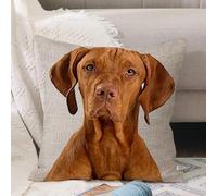 VJIZLOQB Throw Pillow Cushion Cover,Hungarian or Magyar Vizsla isolated over cream background,Pillow Cover for Home Livingroom Couch Bed Sofa Decorate 16 x 16 in
