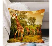 VJIZLOQB Throw Pillow Cushion Cover,Image of a South African giraffes big family graze in the wild forest wildlife animals saf,Pillow Cover for Home Livingroom Couch Bed Sofa Decorate 16 x 16 in