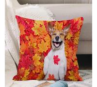 VJIZLOQB Throw Pillow Cushion Cover,jack russell dog lying on the ground full of fall autumn leaves laughing out loud lying on,Pillow Cover for Home Livingroom Couch Bed Sofa Decorate 16 x 16 in