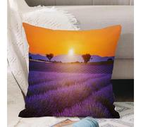 VJIZLOQB Throw Pillow Cushion Cover,Lavender field summer sunset landscape with two tree near Valensole.Provence France,Pillow Cover for Home Livingroom Couch Bed Sofa Decorate 16 x 16 in