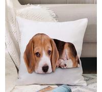 VJIZLOQB Throw Pillow Cushion Cover,Lying Nature Beautiful Little Depression Cute Dog Beagle Puppy Wit Compassionate Animals,Pillow Cover for Home Livingroom Couch Bed Sofa Decorate 16 x 16 in